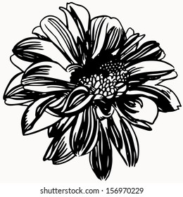 Vector illustration sign of black and white flower