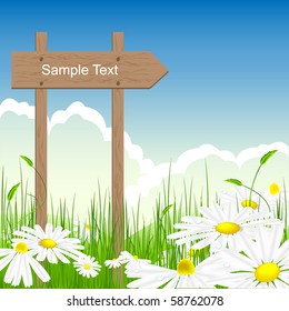 vector illustration of the sign in the summer meadow