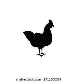 Vector illustration of silhouette of adult chicken