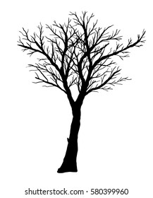 Vector illustration. Silhouette of bare tree on a white background.