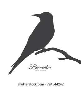 Vector illustration: Silhouette of Bee-eater sitting on a dry branch.