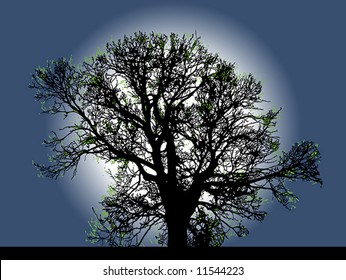 Vector Illustration of Silhouette of Big Tree with Moon night backgrounds