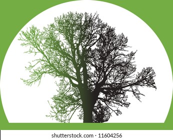 Vector Illustration of Silhouette of Big Tree with different backgrounds