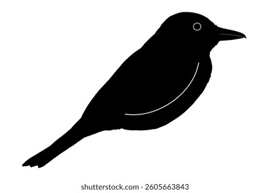 A vector illustration of the silhouette of a bird.