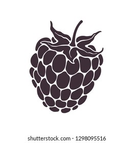 Vector illustration. Silhouette of blackberry or raspberry fruit with stem. Healthy diet and vegetarian food. Decoration for packaging, menus, showcases. Isolated  pattern on white background