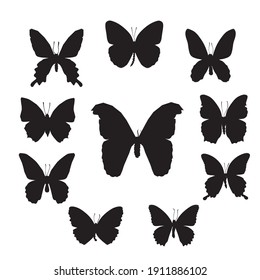 Vector illustration of silhouette butterfly cartoon on white background