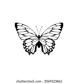 46,835 Black butterfly isolated on white silhouette Images, Stock ...