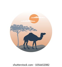 Vector illustration of a silhouette of a camel in the desert