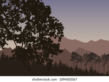 Vector illustration with a silhouette of a coniferous forest with mountains in the background, under a dark sky - with space for your text