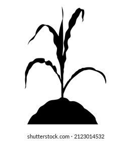 Vector illustration of silhouette corn plant sprout icon