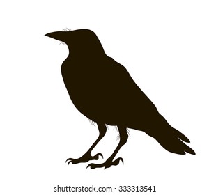 vector illustration silhouette of a crow sitting