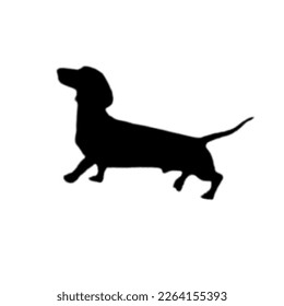 vector illustration of the silhouette of a dachshund dog, symbol design of a dachshund dog 