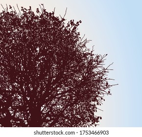 Vector illustration of silhouette deciduous tree in autumn against blue sky