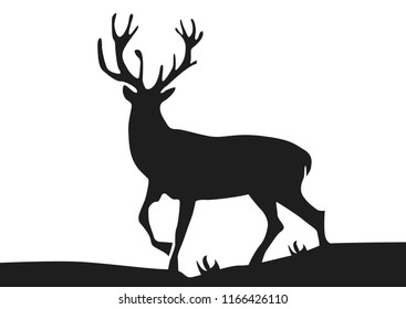 Vector illustration. silhouette of a deer