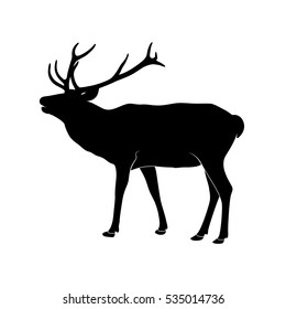 Vector illustration of silhouette deer with antler. Vector reindeer