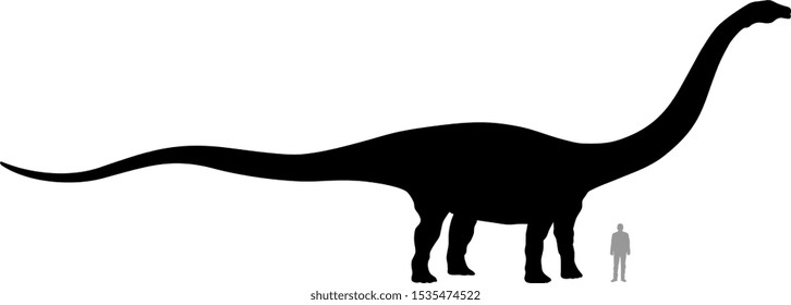 Vector illustration of silhouette of dinosaur Diplodocus compared to a 1.80 m tall person.