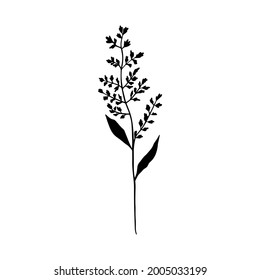 Vector illustration of a silhouette of a field grass. Wild herbs, field plants silhouette on white background isolated. 