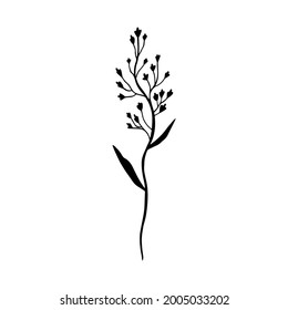 Vector illustration of a silhouette of a field grass. Wild herbs, field plants silhouette on white background isolated. 