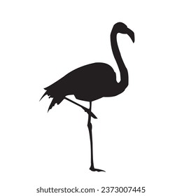 Vector Illustration Silhouette of flamingo on white background