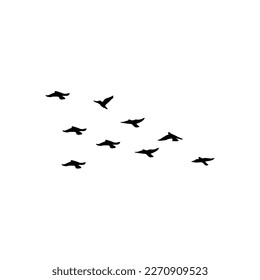 vector illustration of silhouette flock flying bird