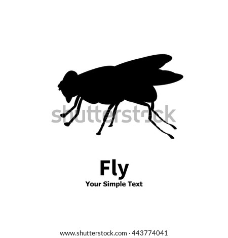 Vector illustration of a silhouette of a fly on an isolated white background. Fly side view profile. The insect lives in the house.