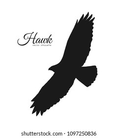 Vector illustration: Silhouette of flying Hawk isolated on white background. Black eagle 