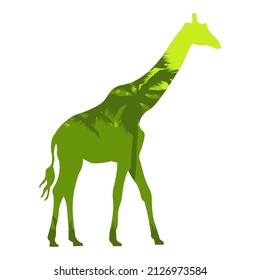 Vector illustration silhouette giraffe with african savannah and colorful sky.. Isolated white background. Icon giraffe side view profile. EPS