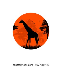 Vector illustration of a silhouette of a giraffe in the desert savanna