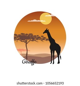 vector illustration silhouette of a giraffe in the savannah,flat design