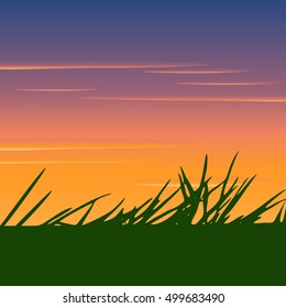 Vector Illustration. Silhouette of grass on a background sunset.