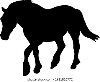 Vector illustration of the silhouette of a horse