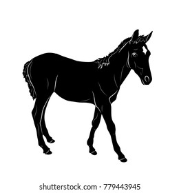 Vector illustration. Silhouette of a horse. EPS 8 