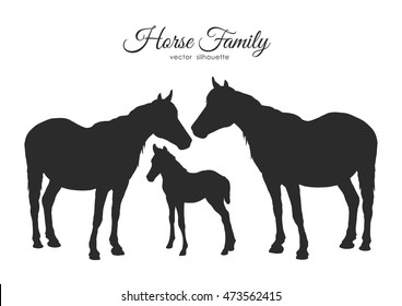 Vector illustration: Silhouette of horses family isolated on white background.