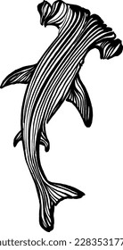 vector illustration silhouette of a hummer shark