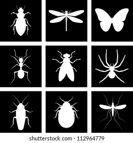 Vector illustration silhouette insect