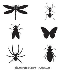 Vector illustration silhouette insect