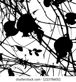 Vector illustration. Silhouette. Isolated background. Black on white. Fruit on the pomegranate tree. Jewish new year. Celebration.