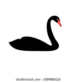 Vector illustration of silhouette isolated black Swan on white background