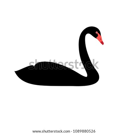 Vector illustration of silhouette isolated black Swan on white background