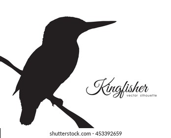 Vector illustration: Silhouette of Kingfisher sitting on a dry branch.