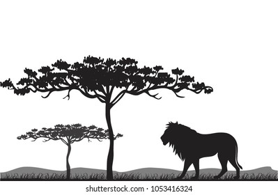 Vector illustration silhouette of a lion in the savannah isolated on a white background