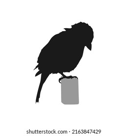 10 124件の 小鳥 シルエット イラスト のイラスト素材 画像 ベクター画像 Shutterstock