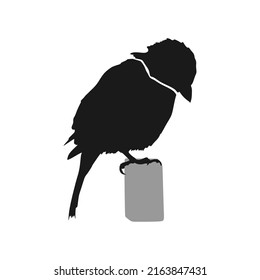 Vector illustration, silhouette of a little bird struggling and restless, alone on a trunk, flat cartoon design style.