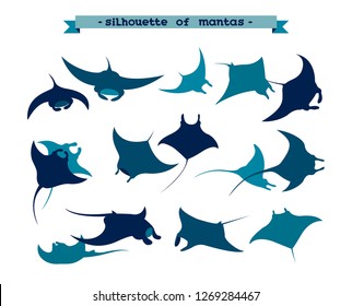 Vector illustration with silhouette of manta ray on a white background. Set of underwater animal - mantas.