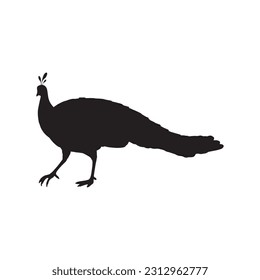 Vector illustration of a silhouette of a peacock