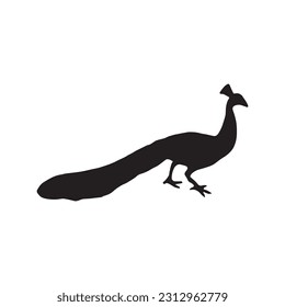 Vector illustration of a silhouette of a peacock