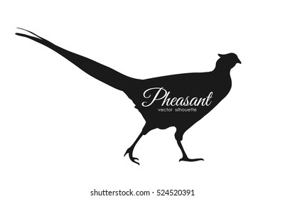 Vector illustration: silhouette of pheasant isolated on white background.