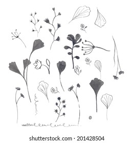 Vector illustration of the silhouette of plants. Hand ink drawings.