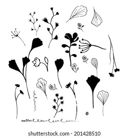 Vector illustration of the silhouette of plants. Hand ink drawings.