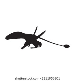 vector illustration of silhouette of prehistoric creature dimorphodon isolated on white background